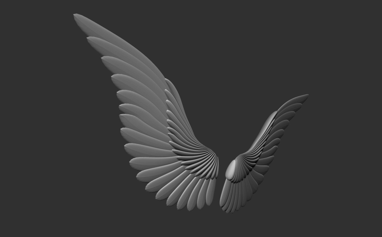 Wings Pack 3D model_6