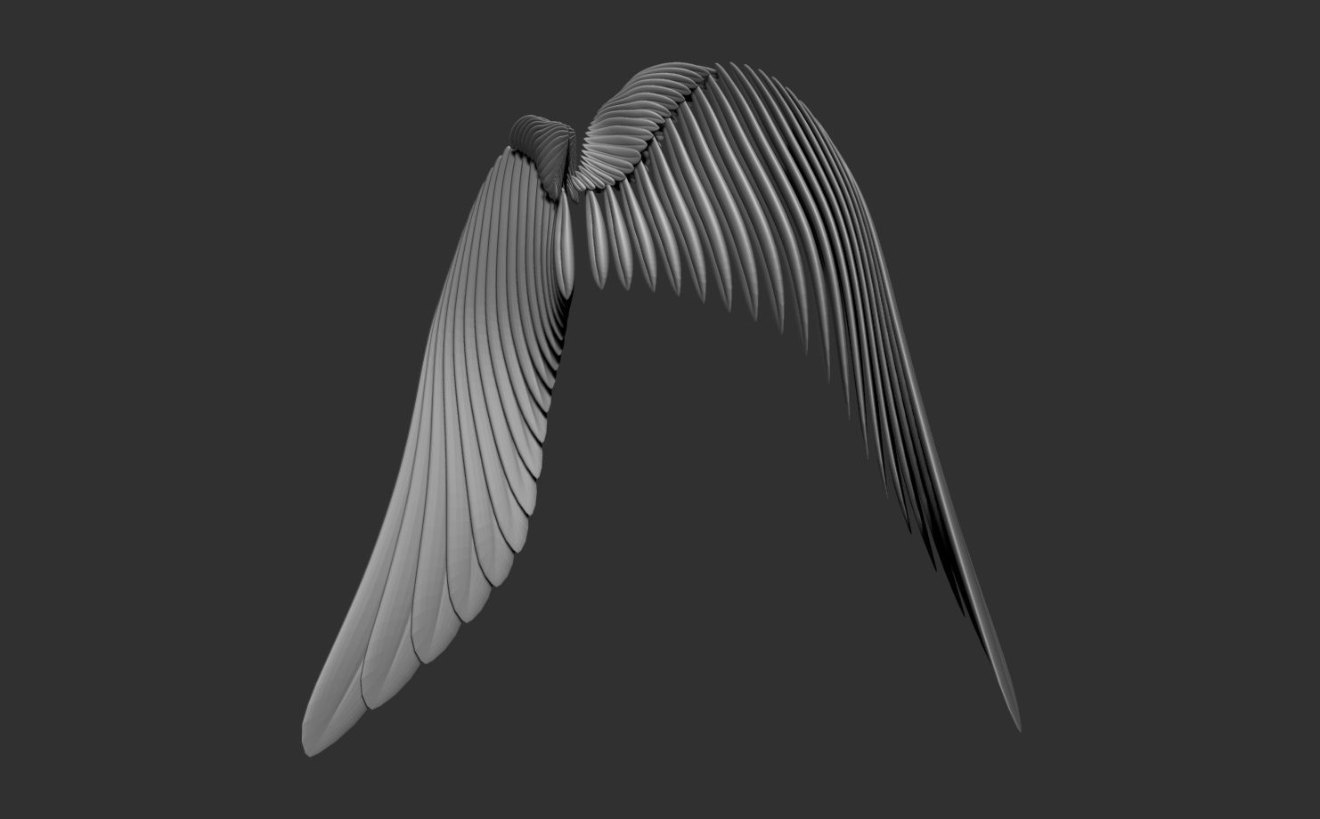 Wings Pack 3D model_13