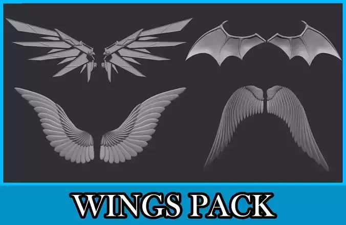 Wings Pack
