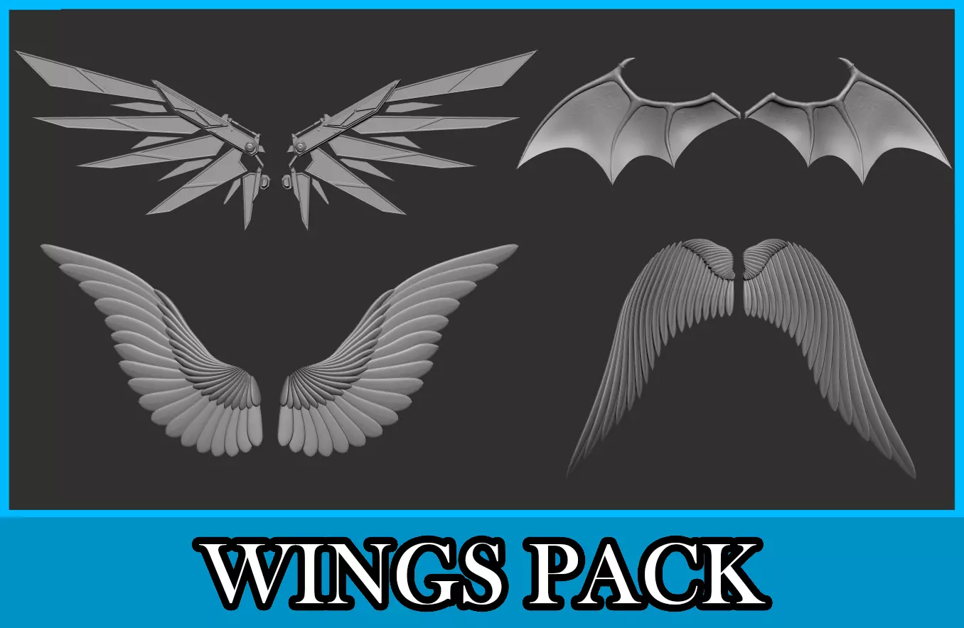 Wings Pack 3D model_0