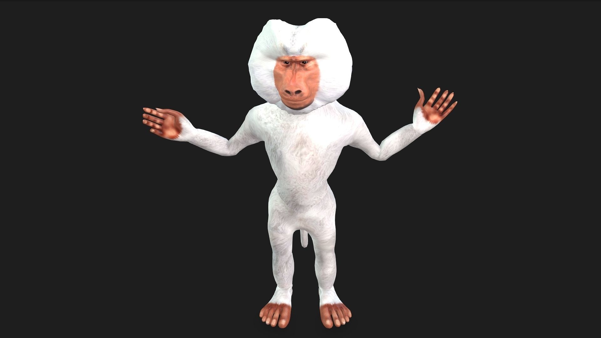 Toon Baboon with Animation 3D model_7