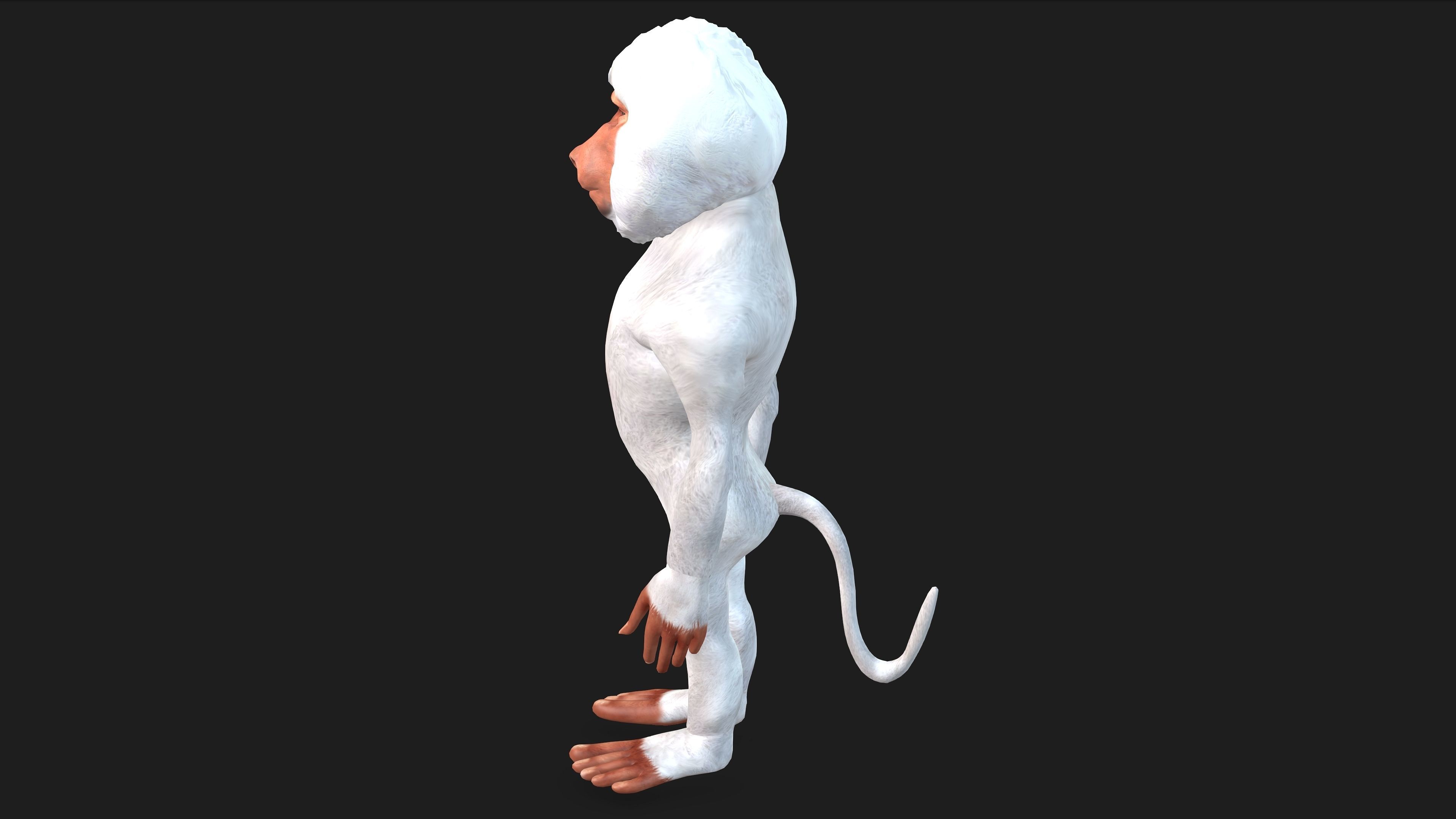 Toon Baboon with Animation 3D model_3