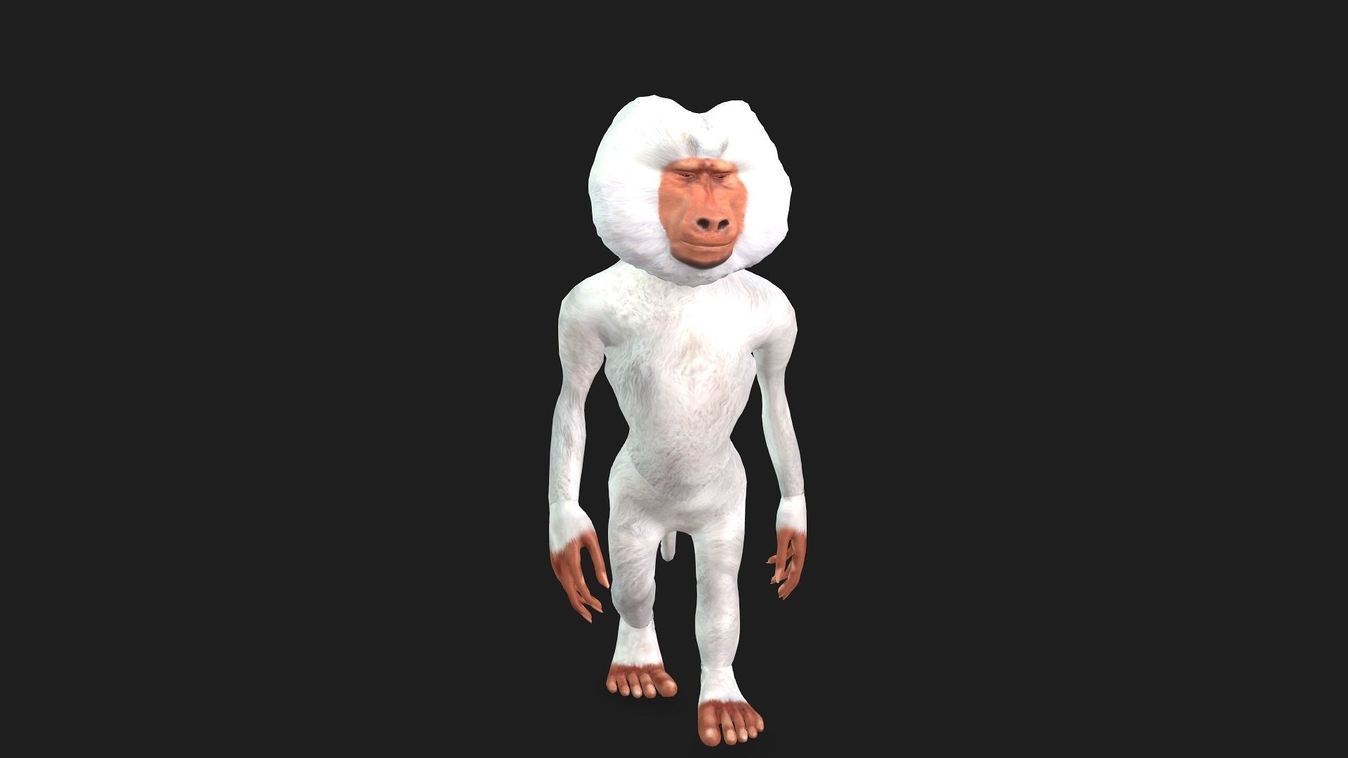 Toon Baboon with Animation 3D model_10