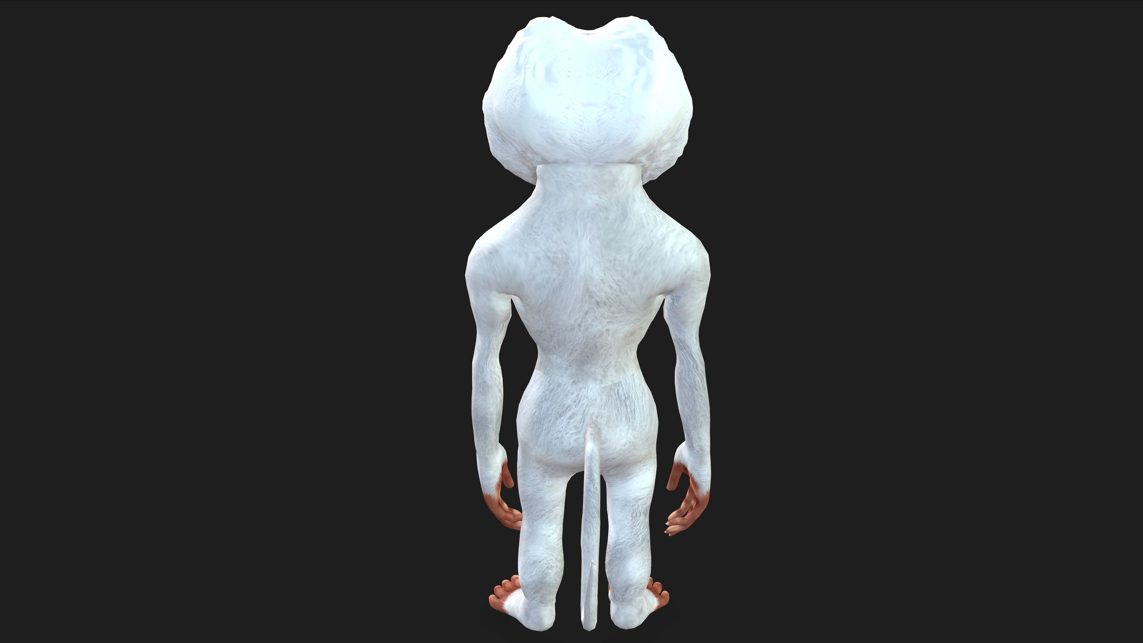 Toon Baboon with Animation 3D model_4