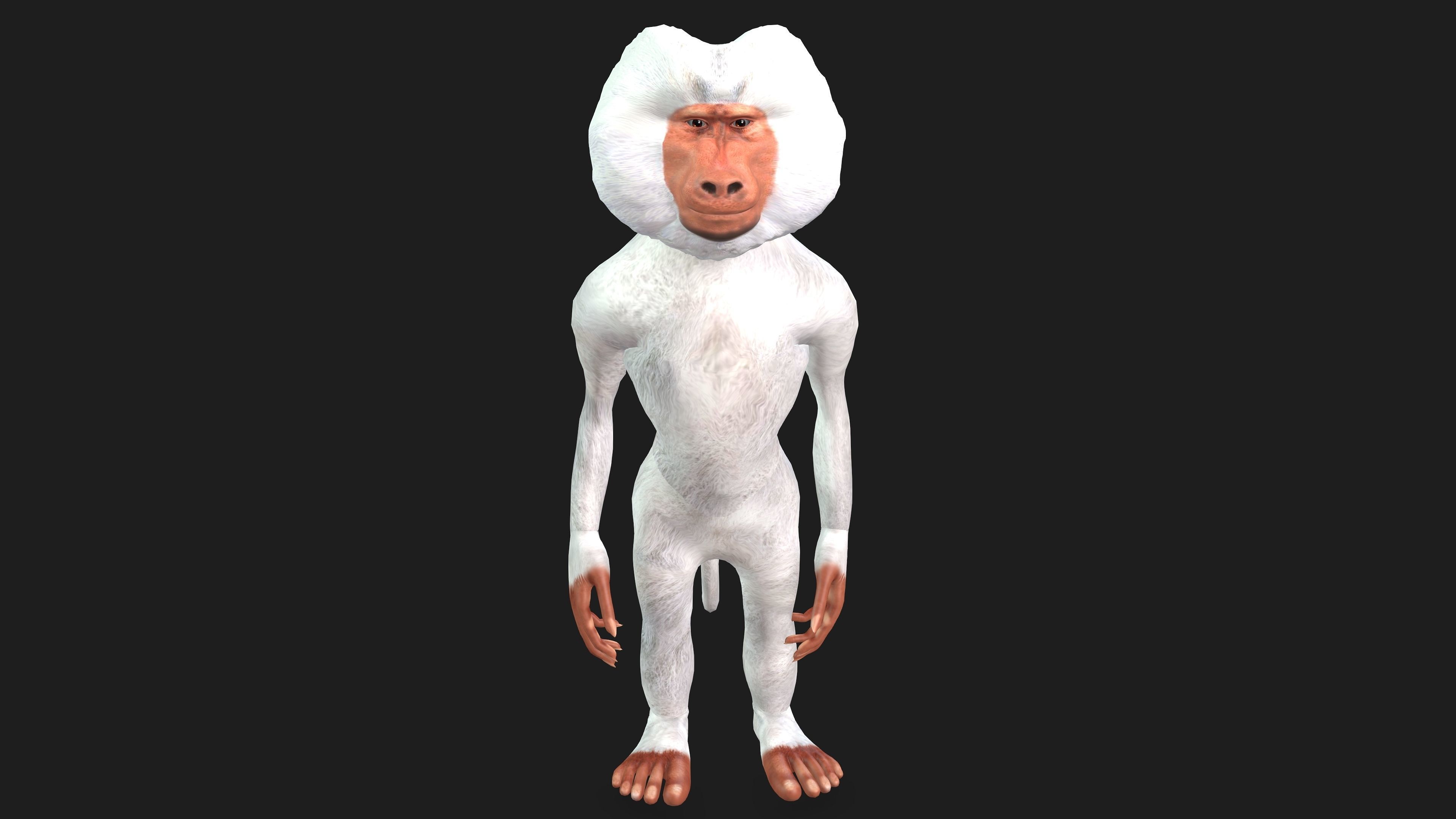 Toon Baboon with Animation 3D model_2