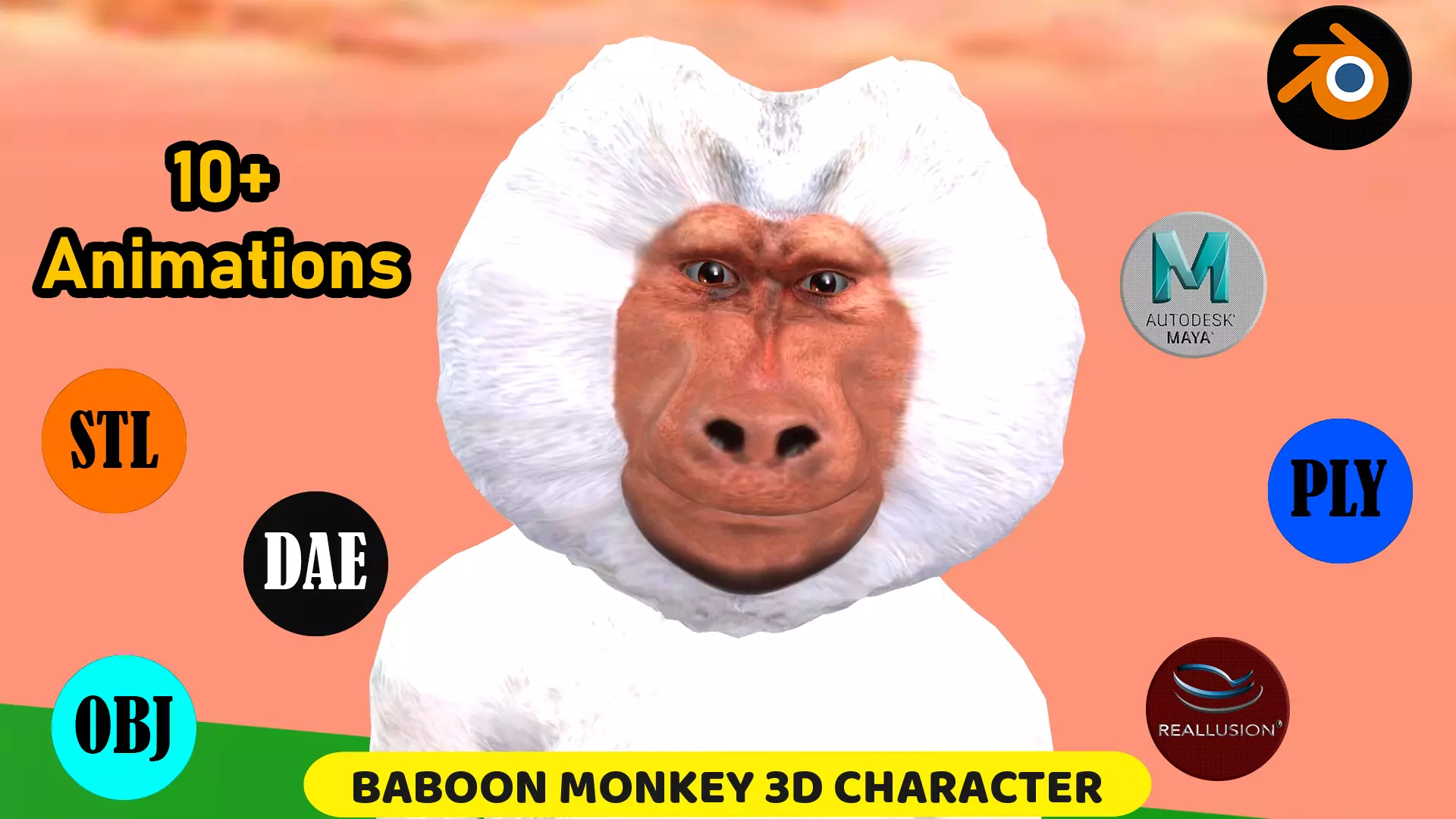Toon Baboon with Animation 3D model_0