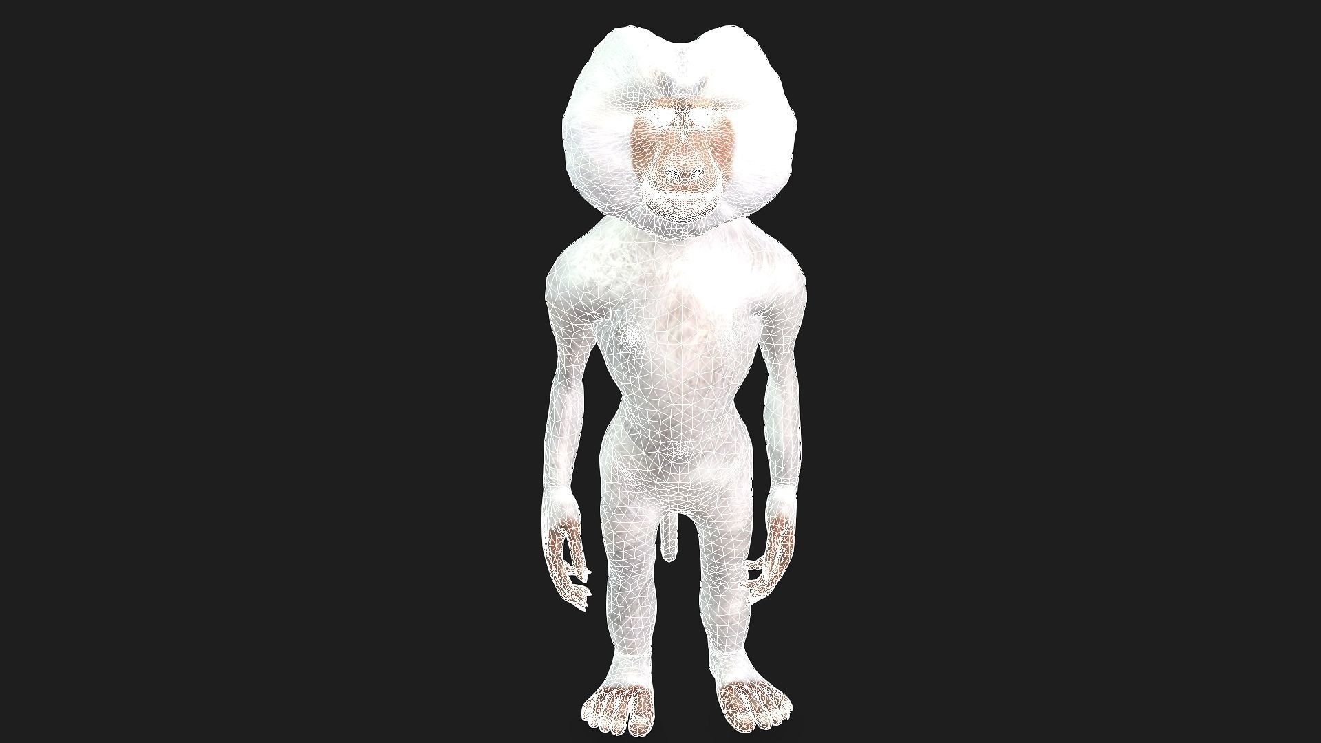Toon Baboon with Animation 3D model_13