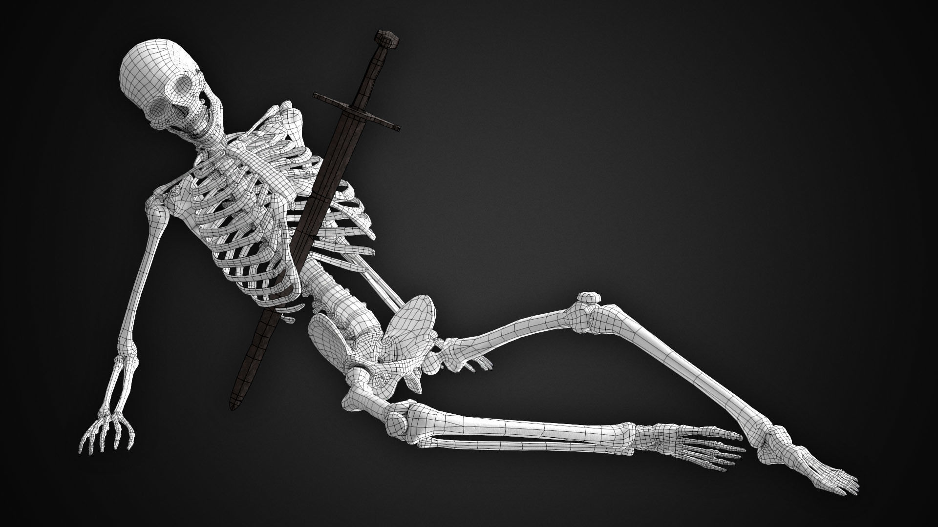 Human Skeletons and Bones Low-poly 3D model_12