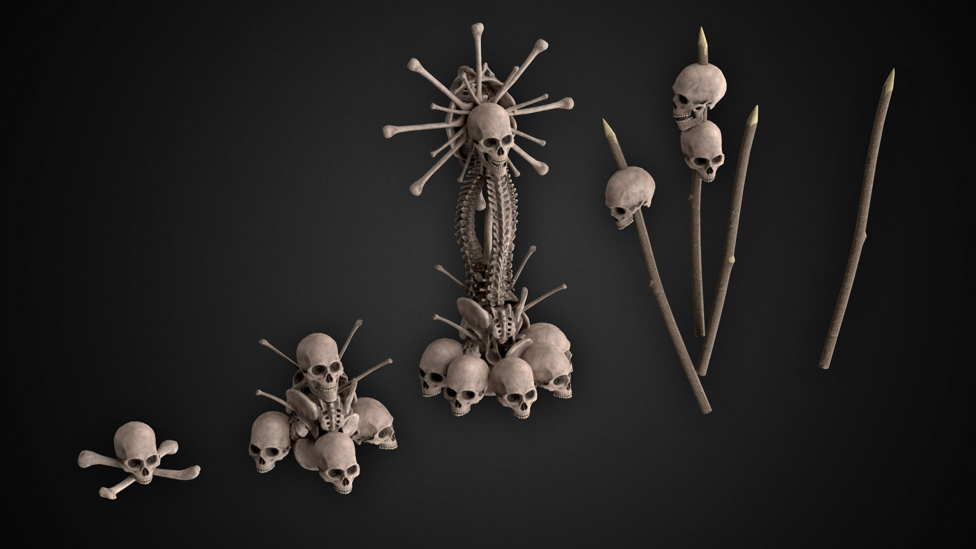 Human Skeletons and Bones Low-poly 3D model_10