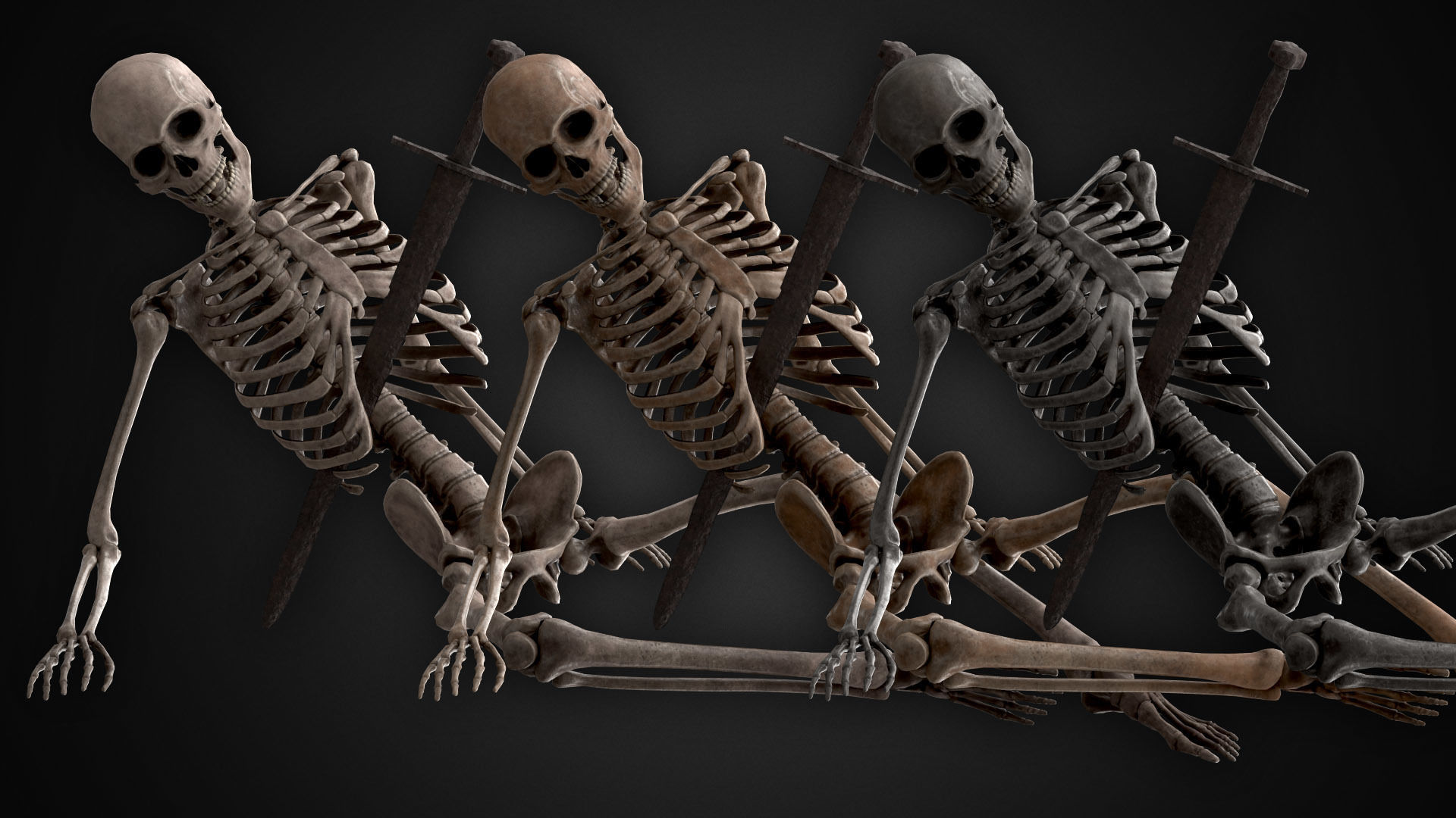 Human Skeletons and Bones Low-poly 3D model_2