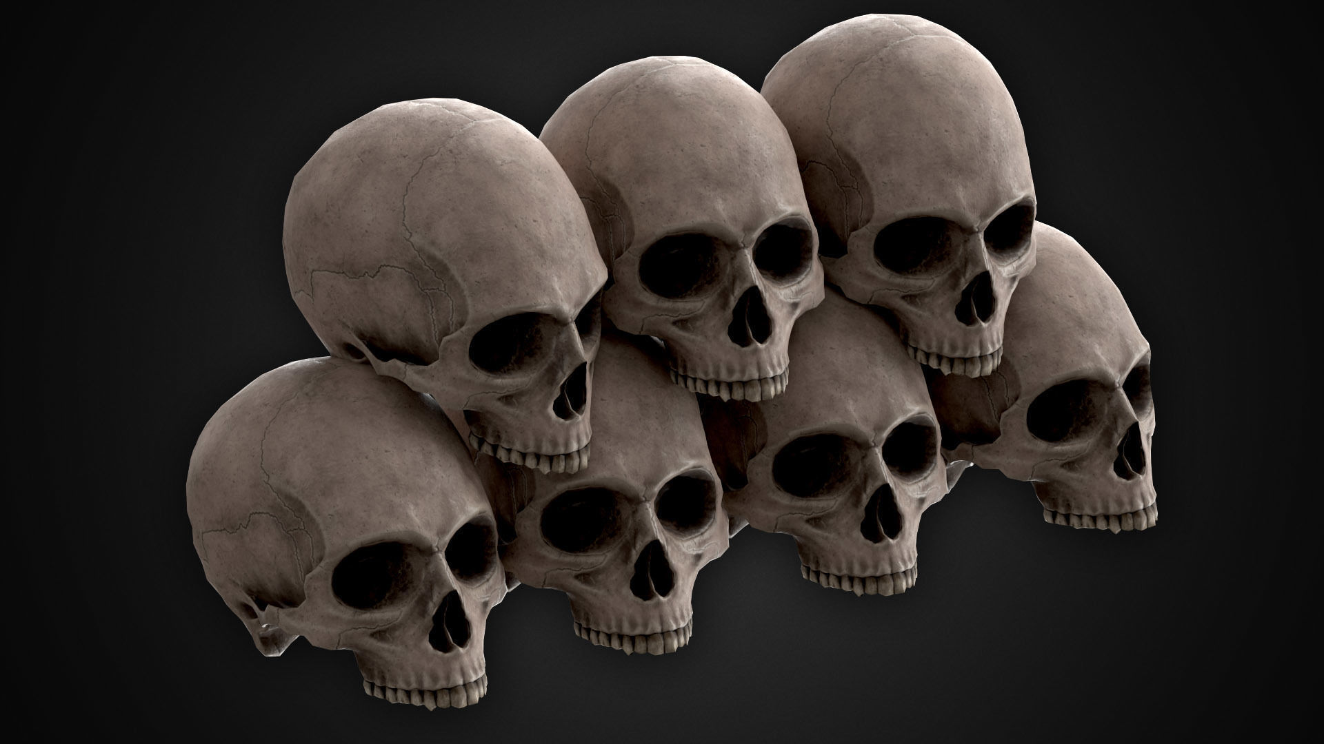 Human Skeletons and Bones Low-poly 3D model_9