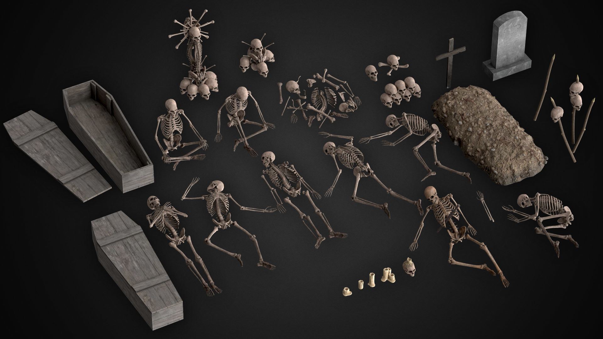 Human Skeletons and Bones Low-poly 3D model_1