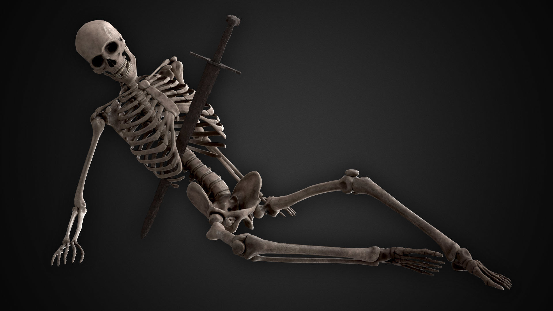 Human Skeletons and Bones Low-poly 3D model_5