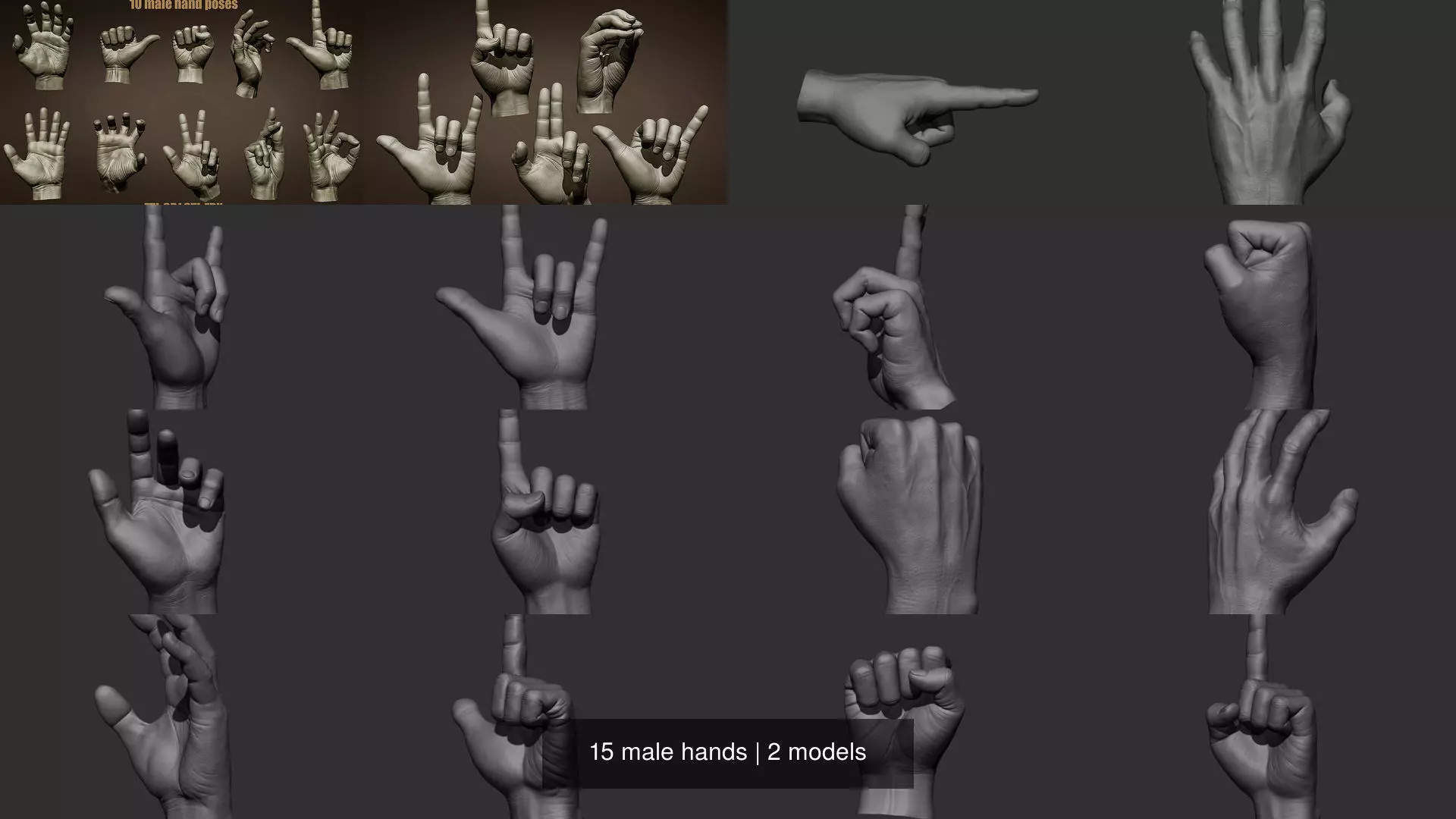 15 male hands 3D Model Collection_1