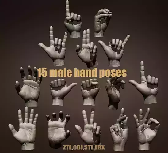 15 male hands 3D Model Collection