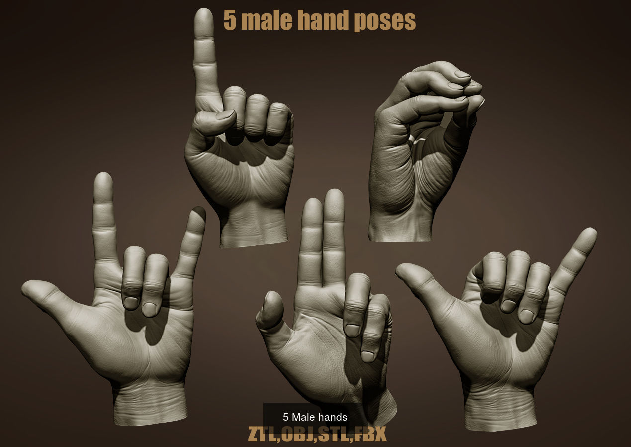 15 male hands 3D Model Collection_2