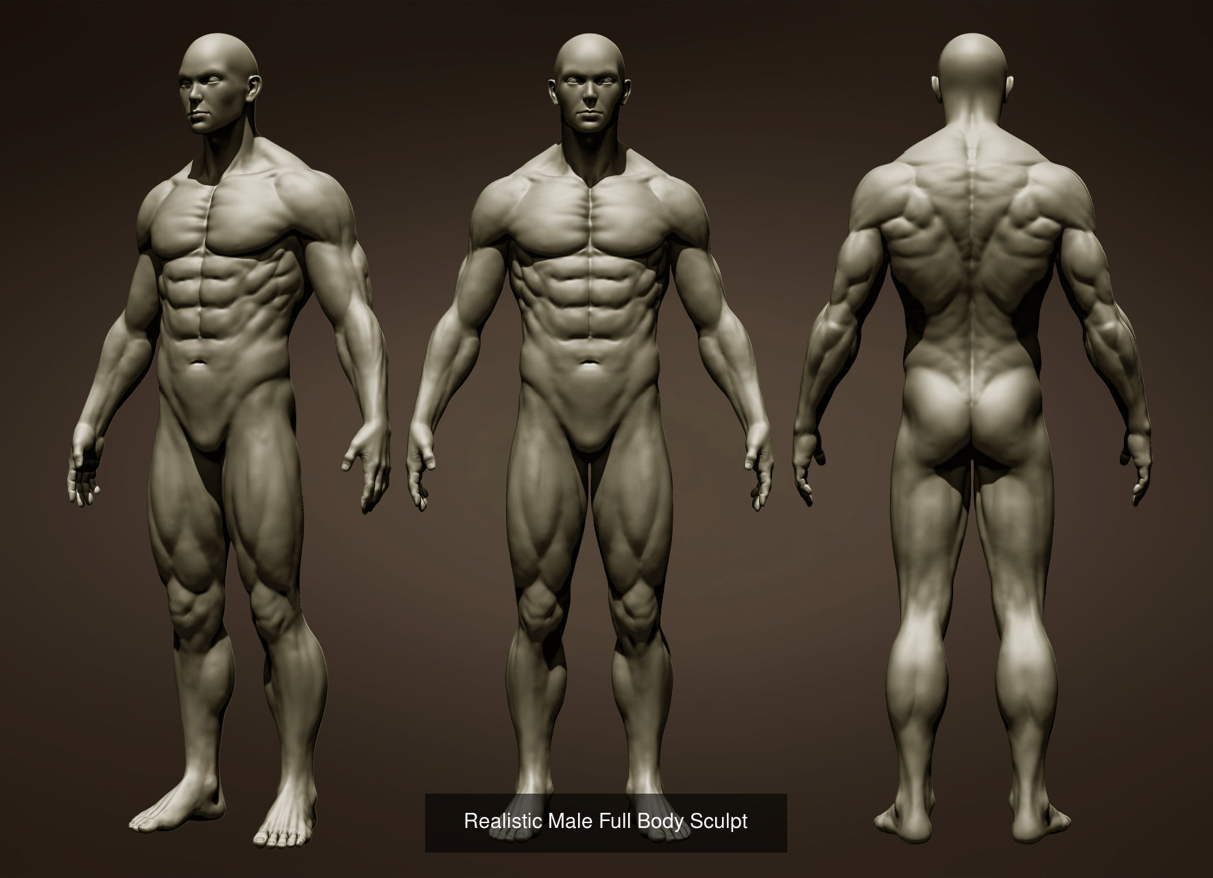 2 male full body 3D Model Collection_3
