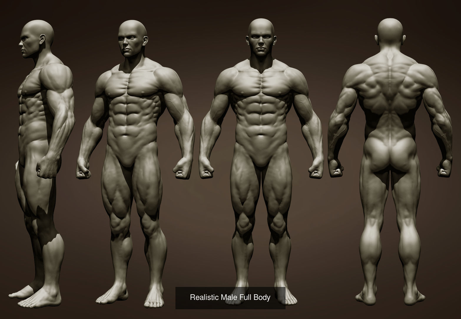 2 male full body 3D Model Collection_2