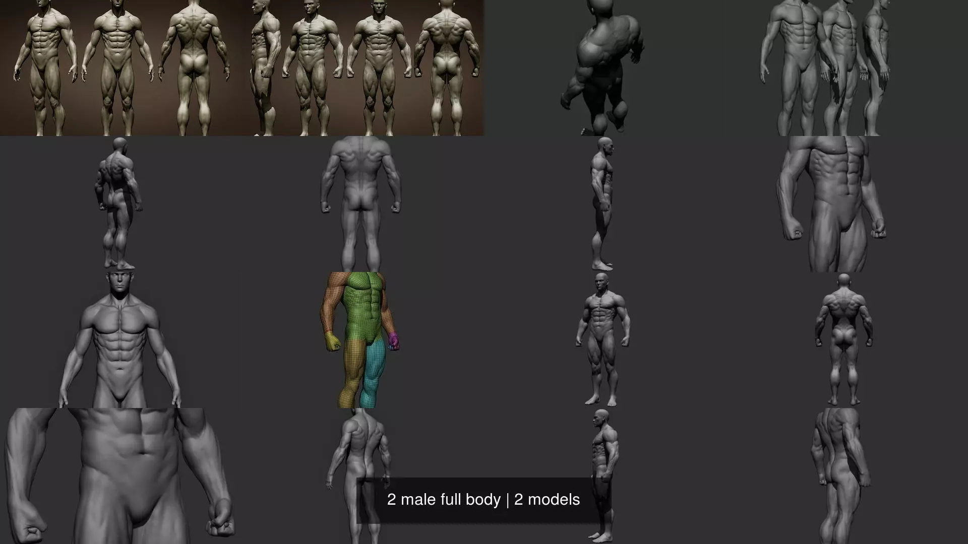 2 male full body 3D Model Collection_1