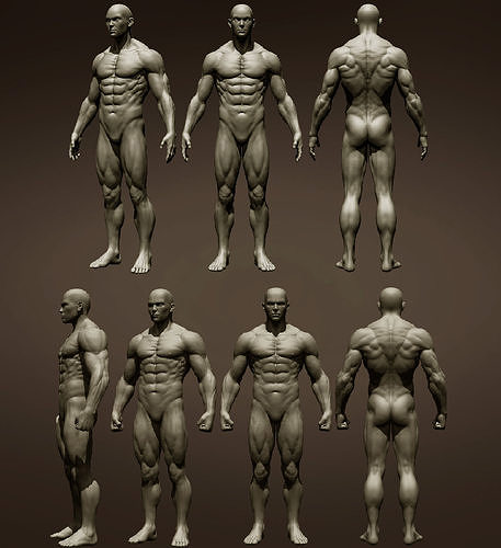 2 male full body 3D Model Collection