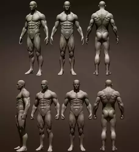 2 male full body 3D Model Collection