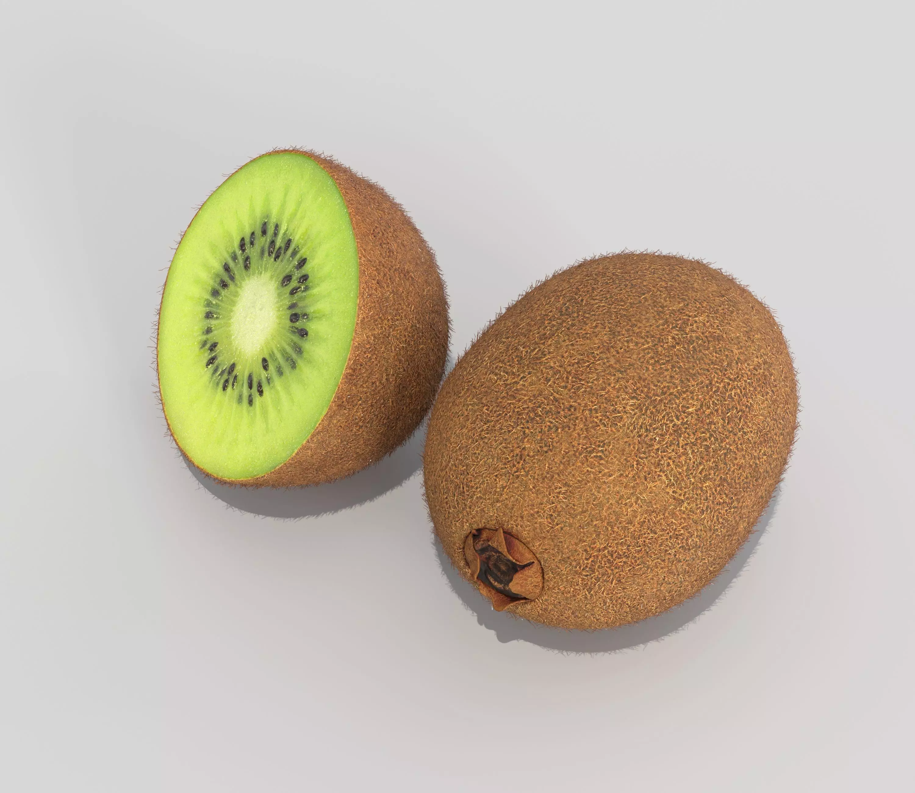 Kiwi Fruit 3D model_0