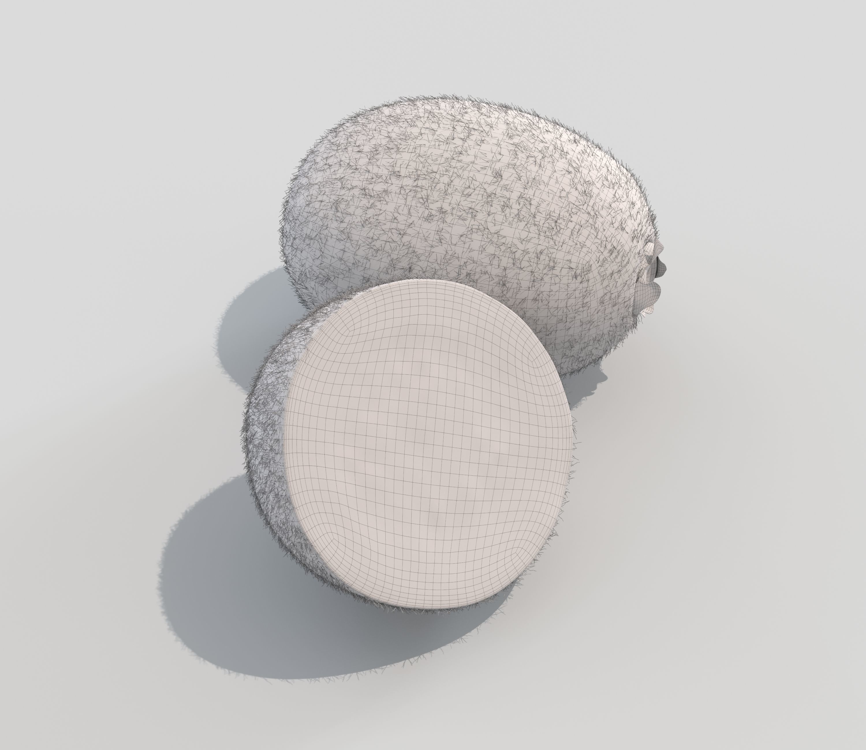 Kiwi Fruit 3D model_9
