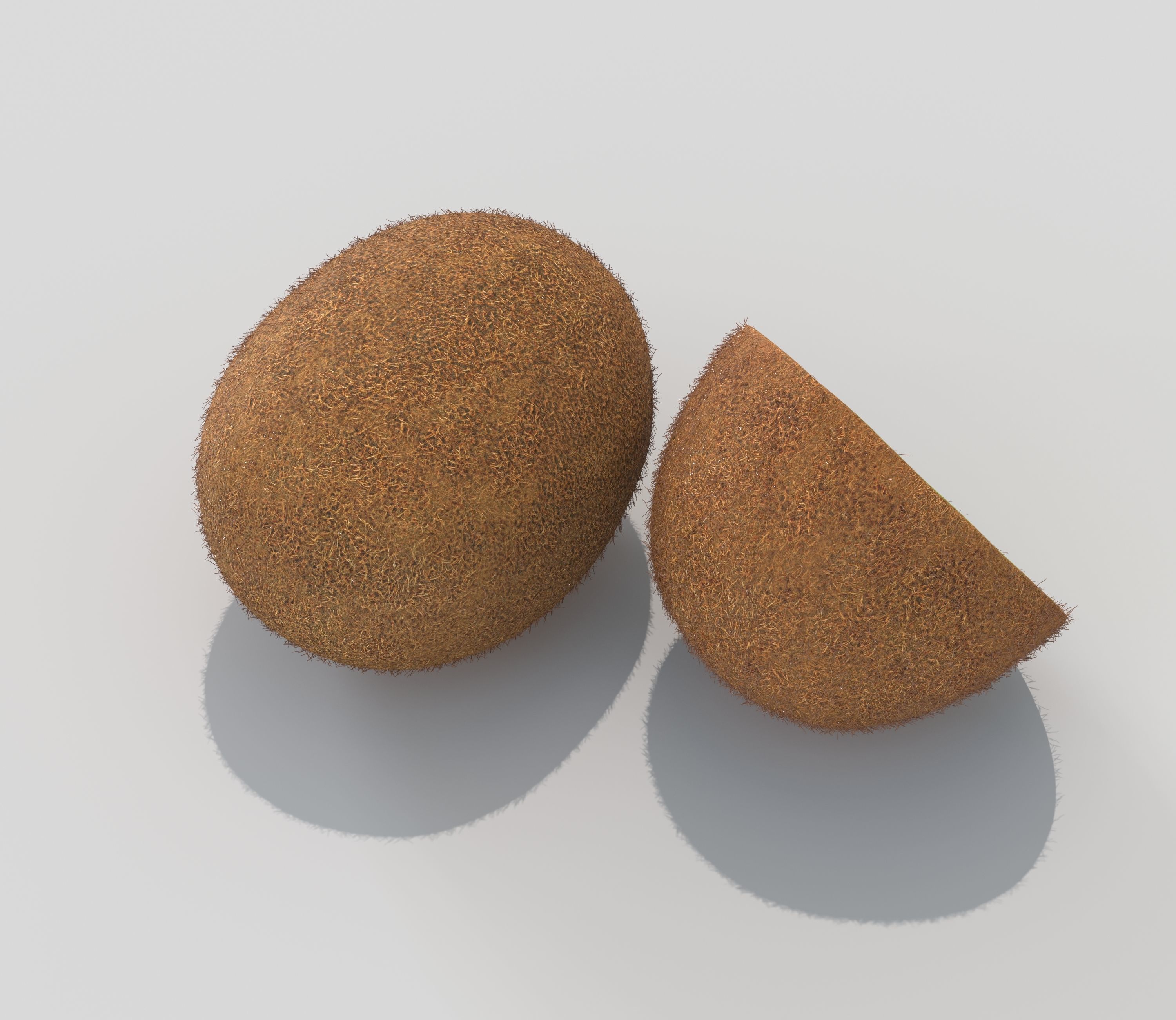 Kiwi Fruit 3D model_2