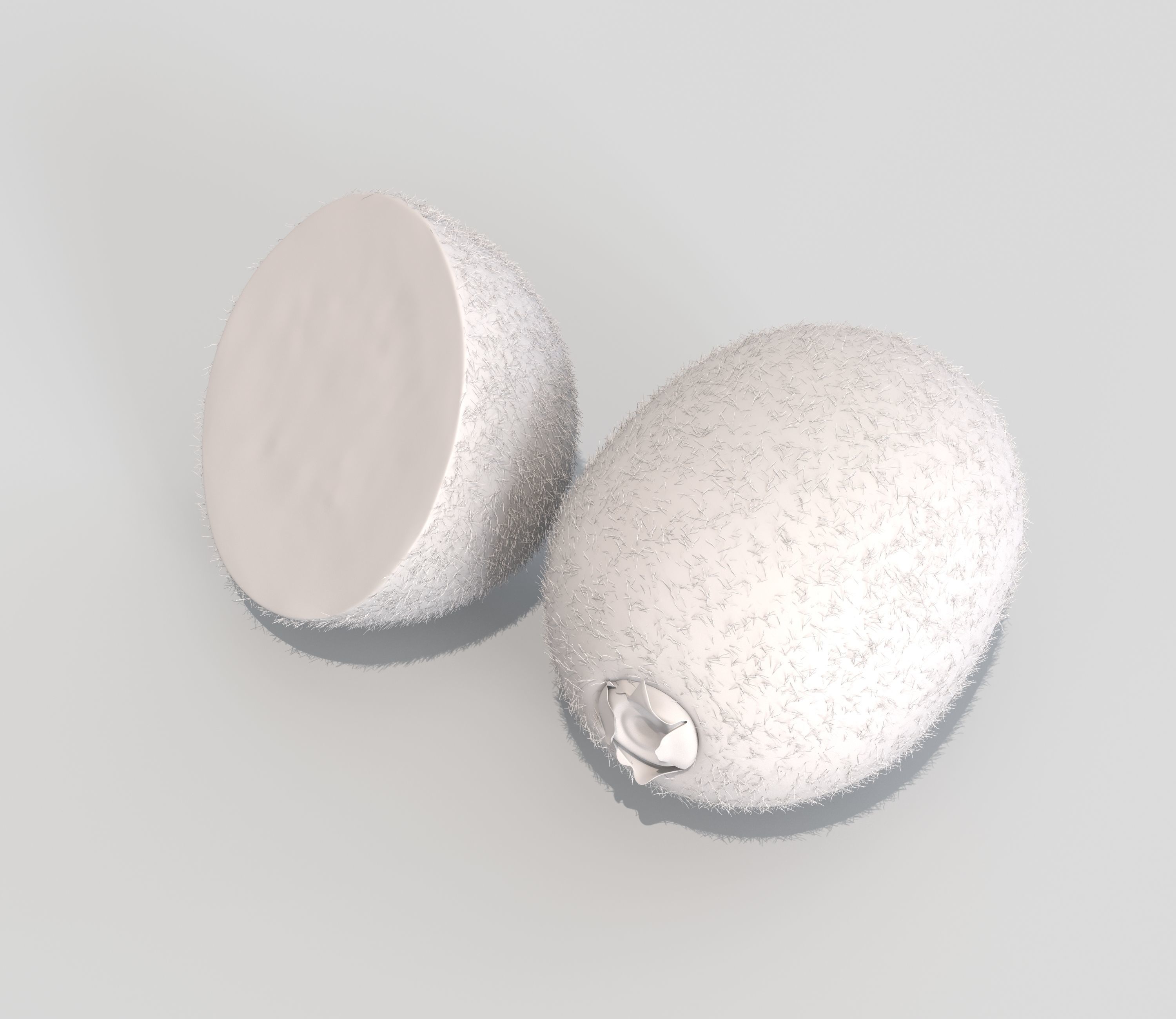 Kiwi Fruit 3D model_7