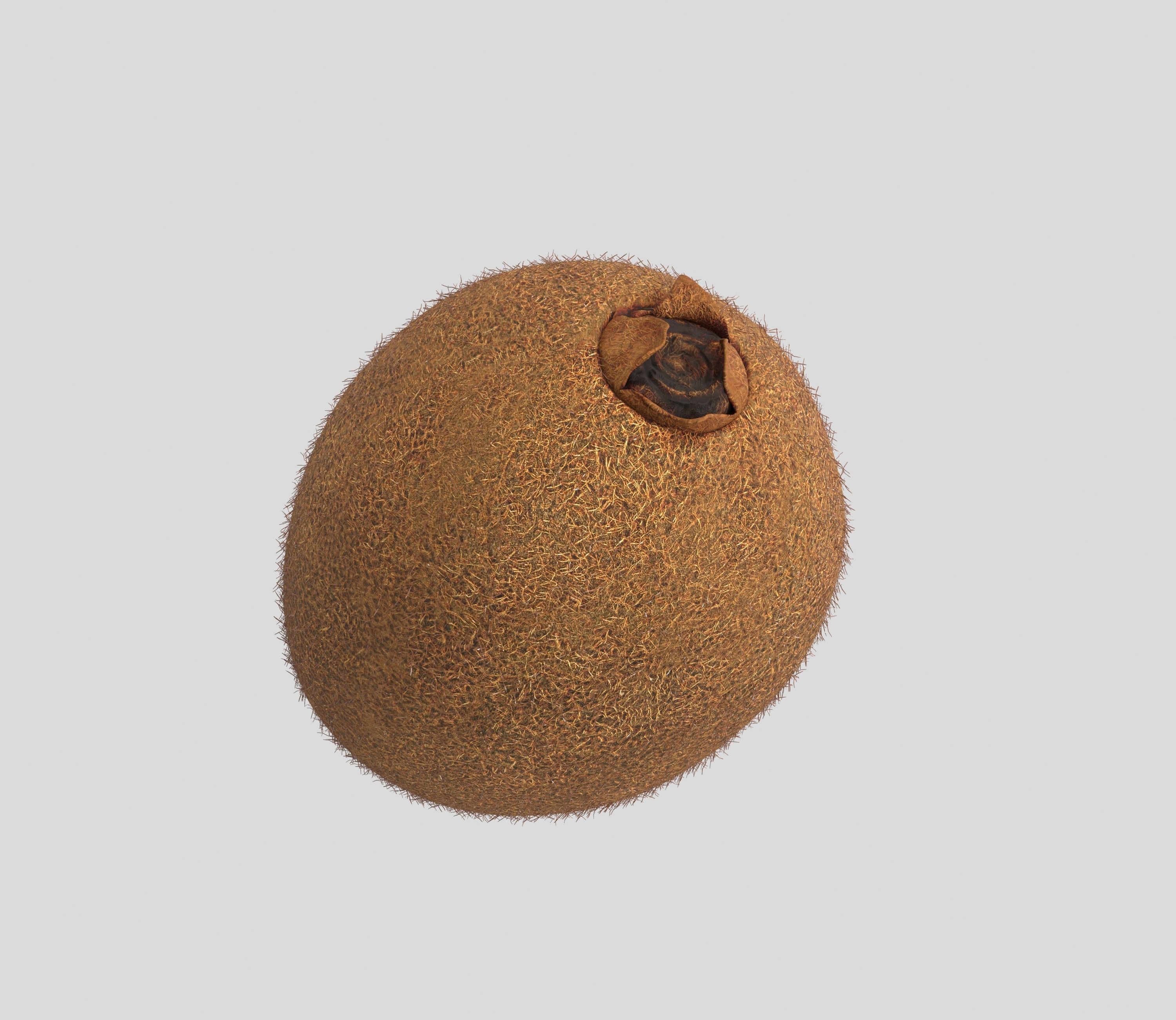 Kiwi Fruit 3D model_4