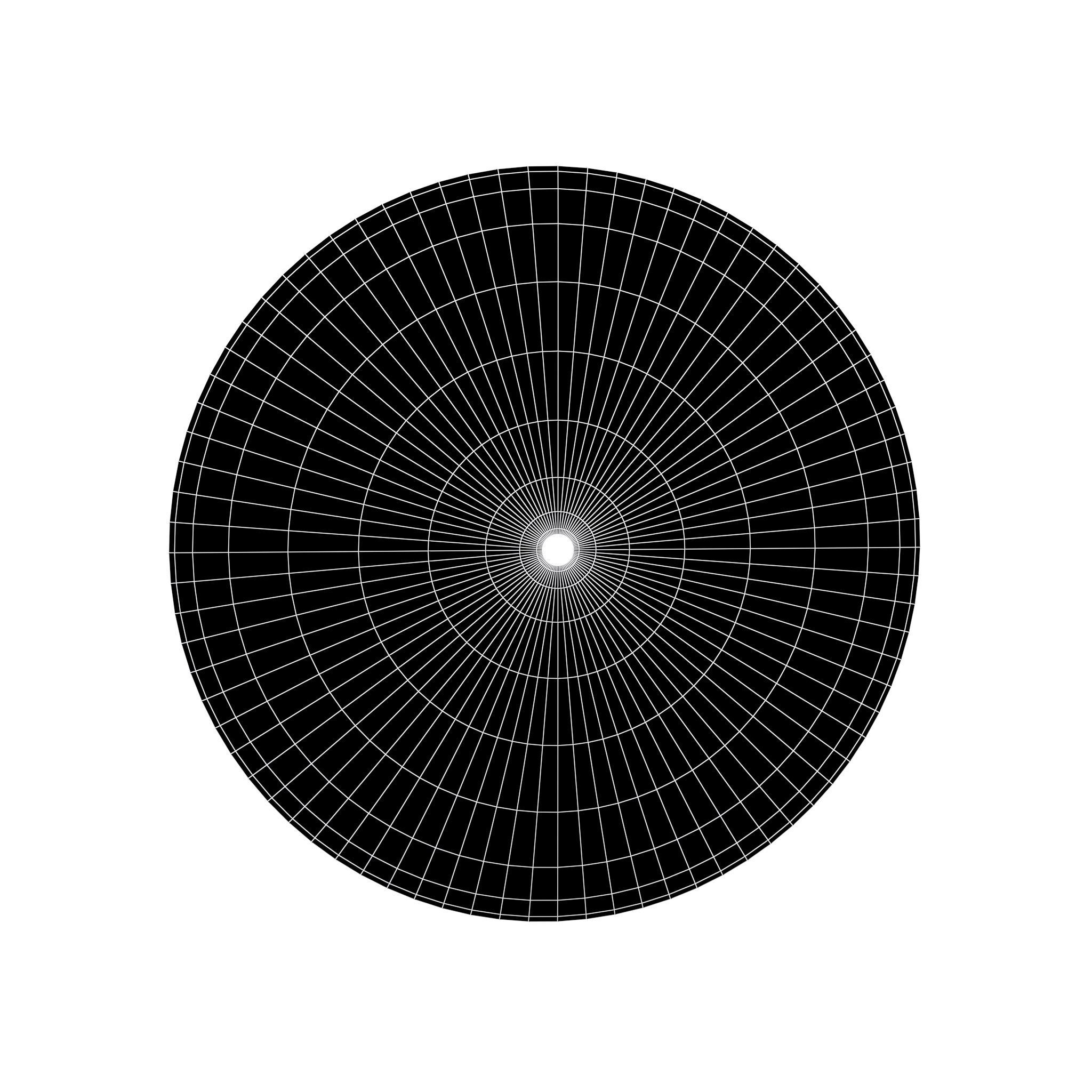 Voyager Golden Record v1 001 Low-poly 3D model_10