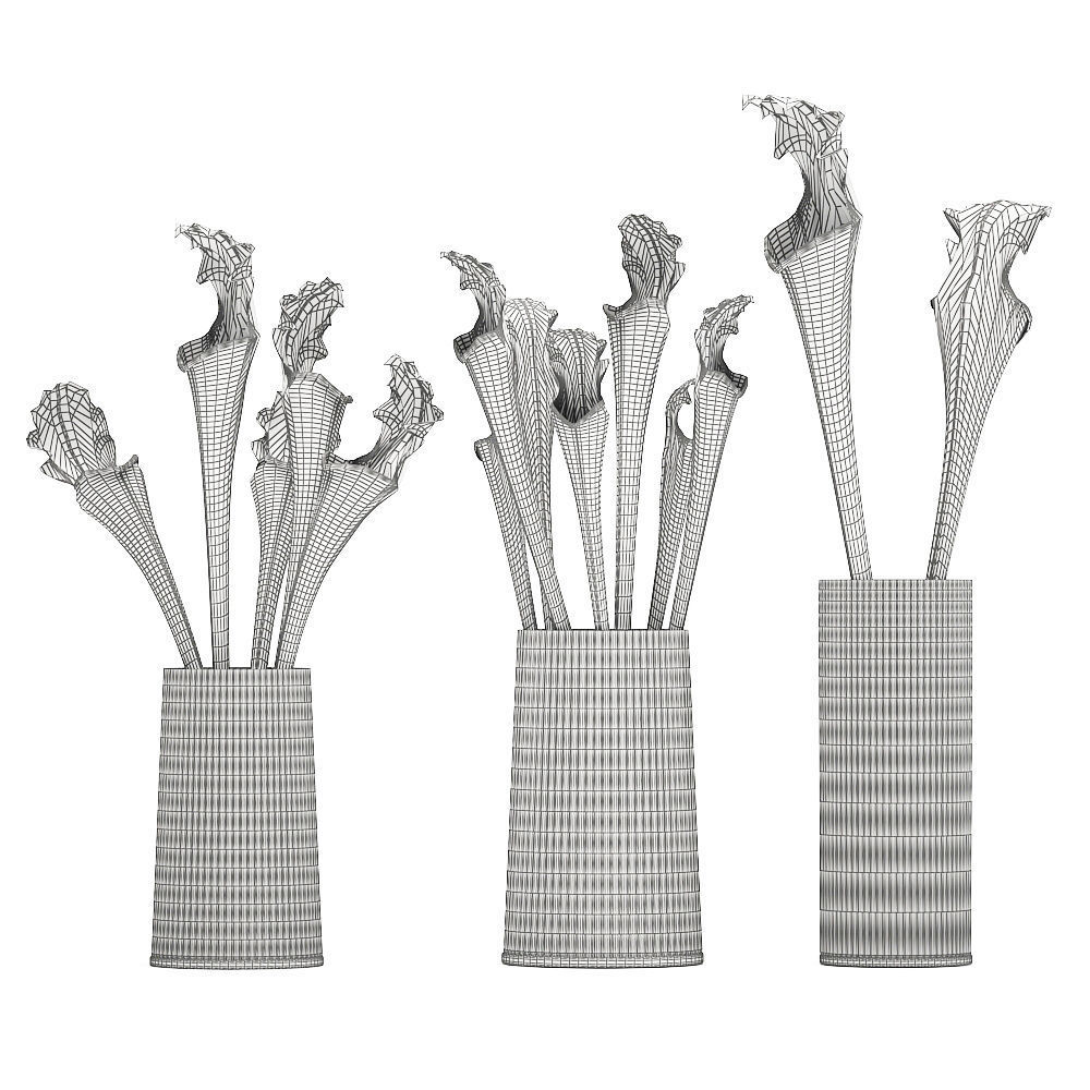 Bouquet of Sarracenia flowers in a vase 180 3D model_5