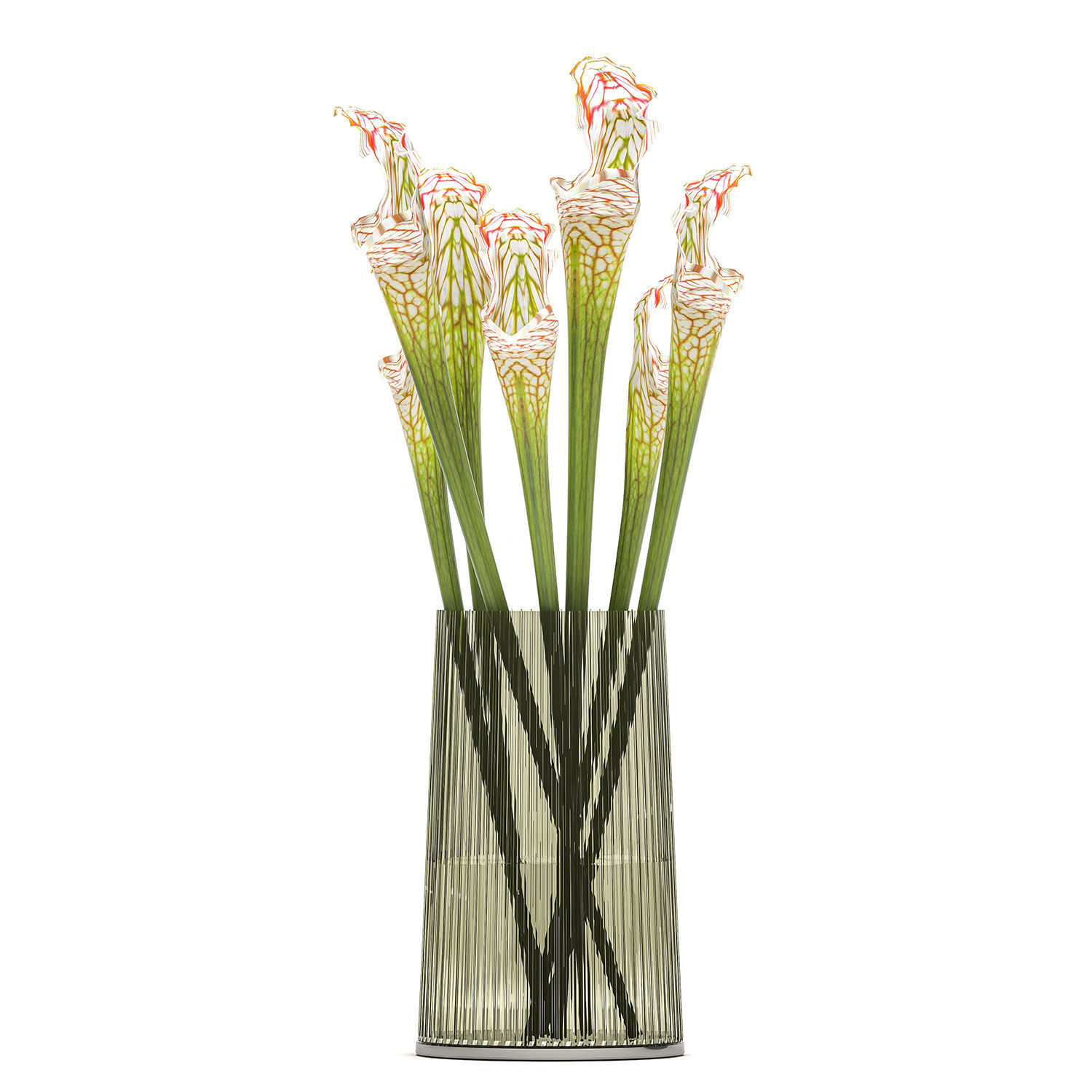 Bouquet of Sarracenia flowers in a vase 180 3D model_1