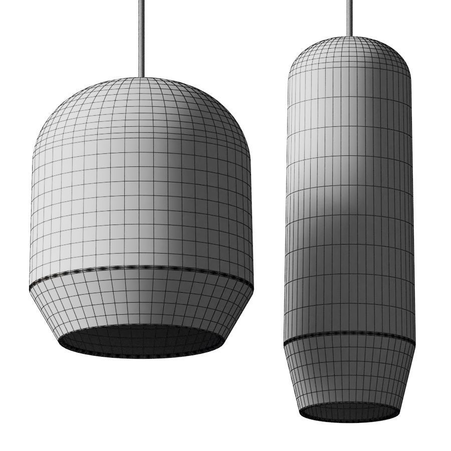 Ex t RASO 3D model_2