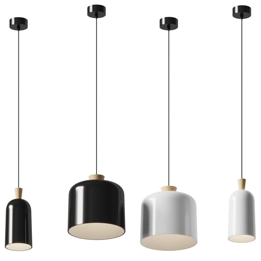 Ex t FUSE 3D model_1