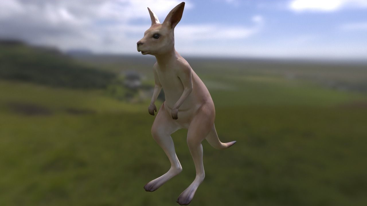 Kangaroo with 3 animations Low-poly 3D model_4