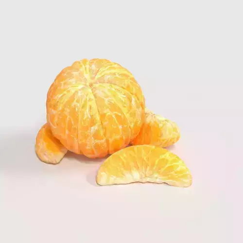 Orange  3D model