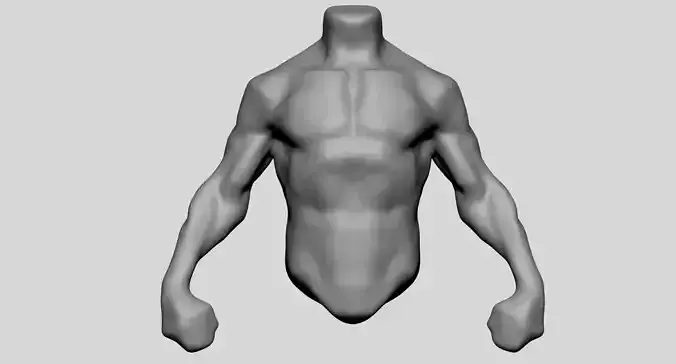 Male Torso v10