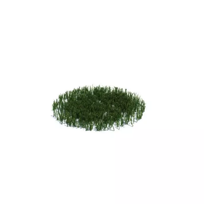 Green Grass Patch 3D model_0