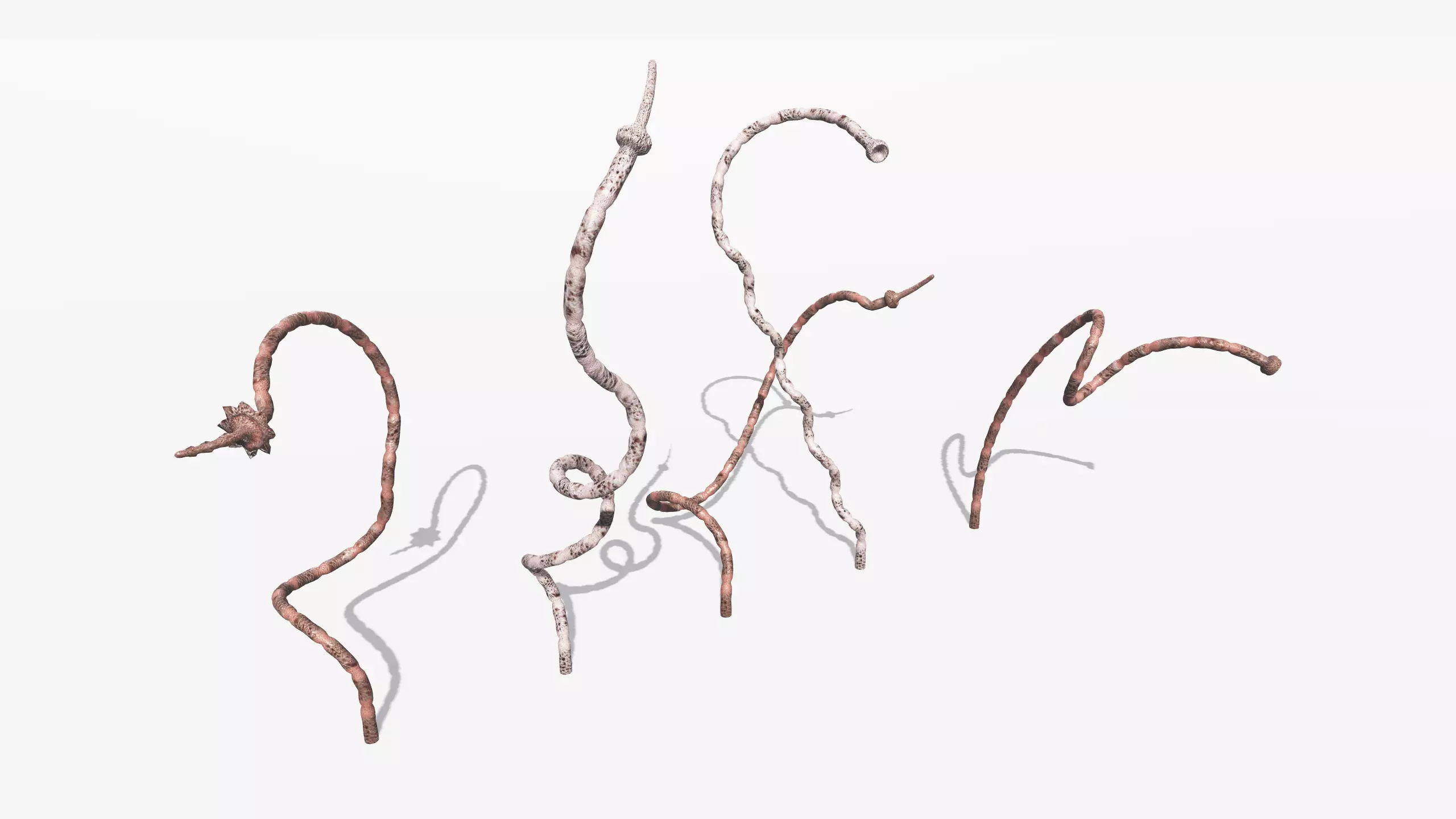 Tentacles branches Low-poly 3D model
