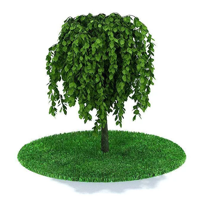 Leafed Small Tree 3D model | CGTrader