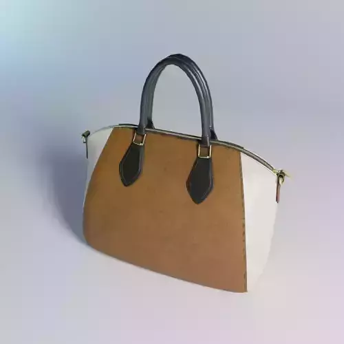 Handbag Leather