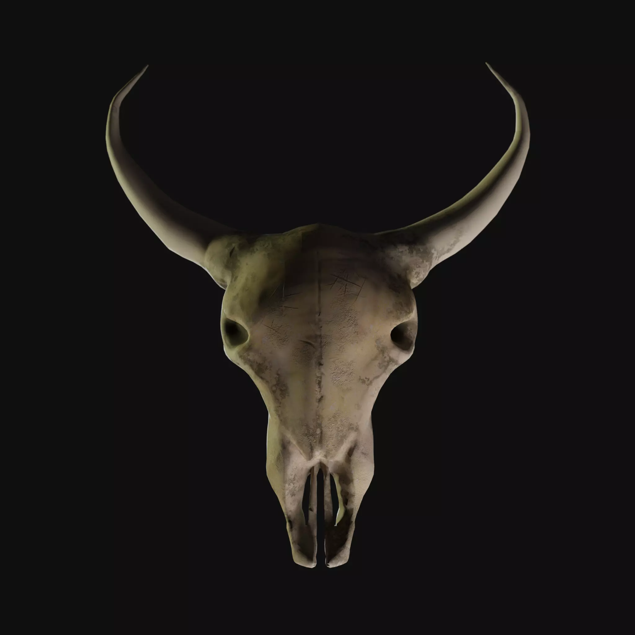 Cow Skull 3D model_0