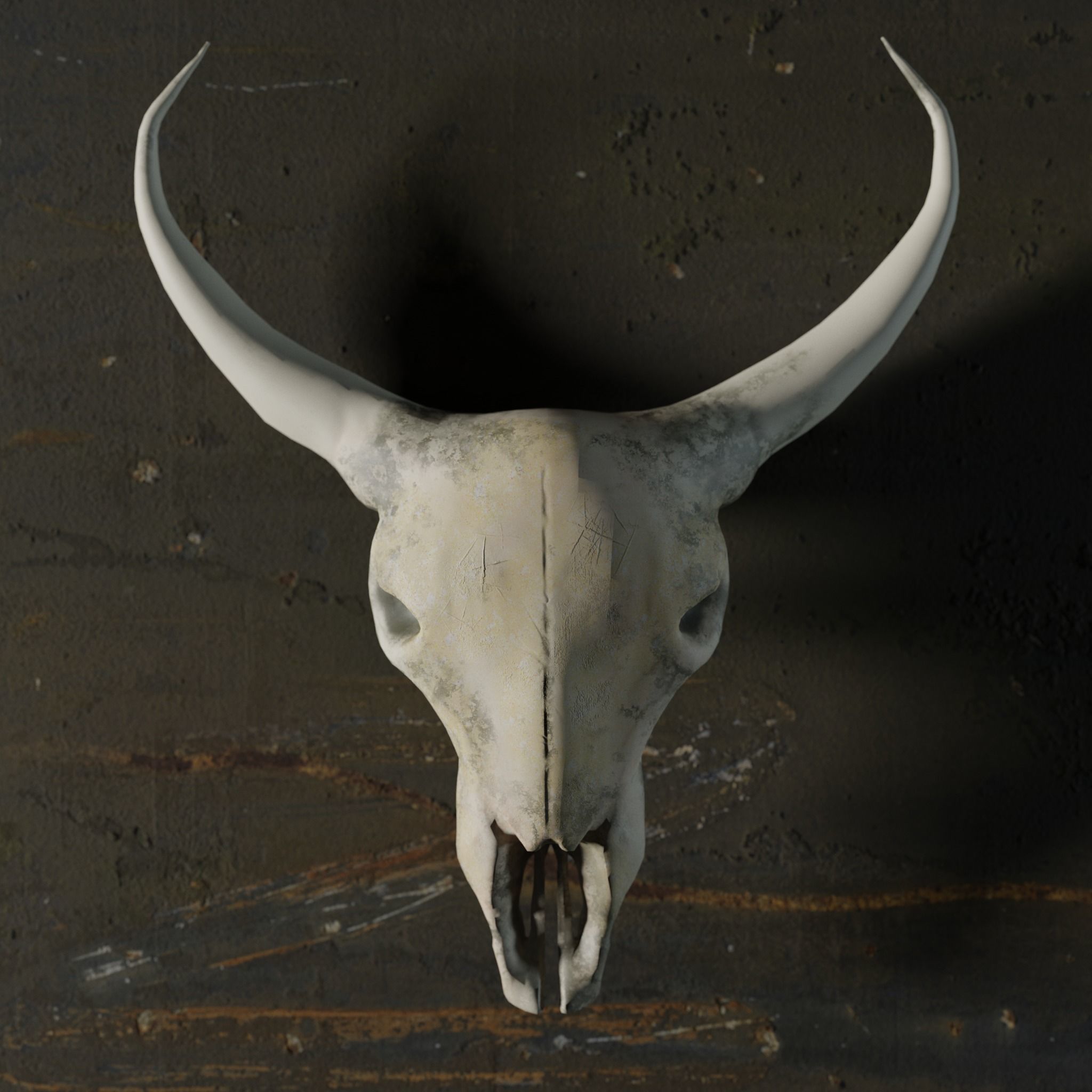 Cow Skull 3D model_3