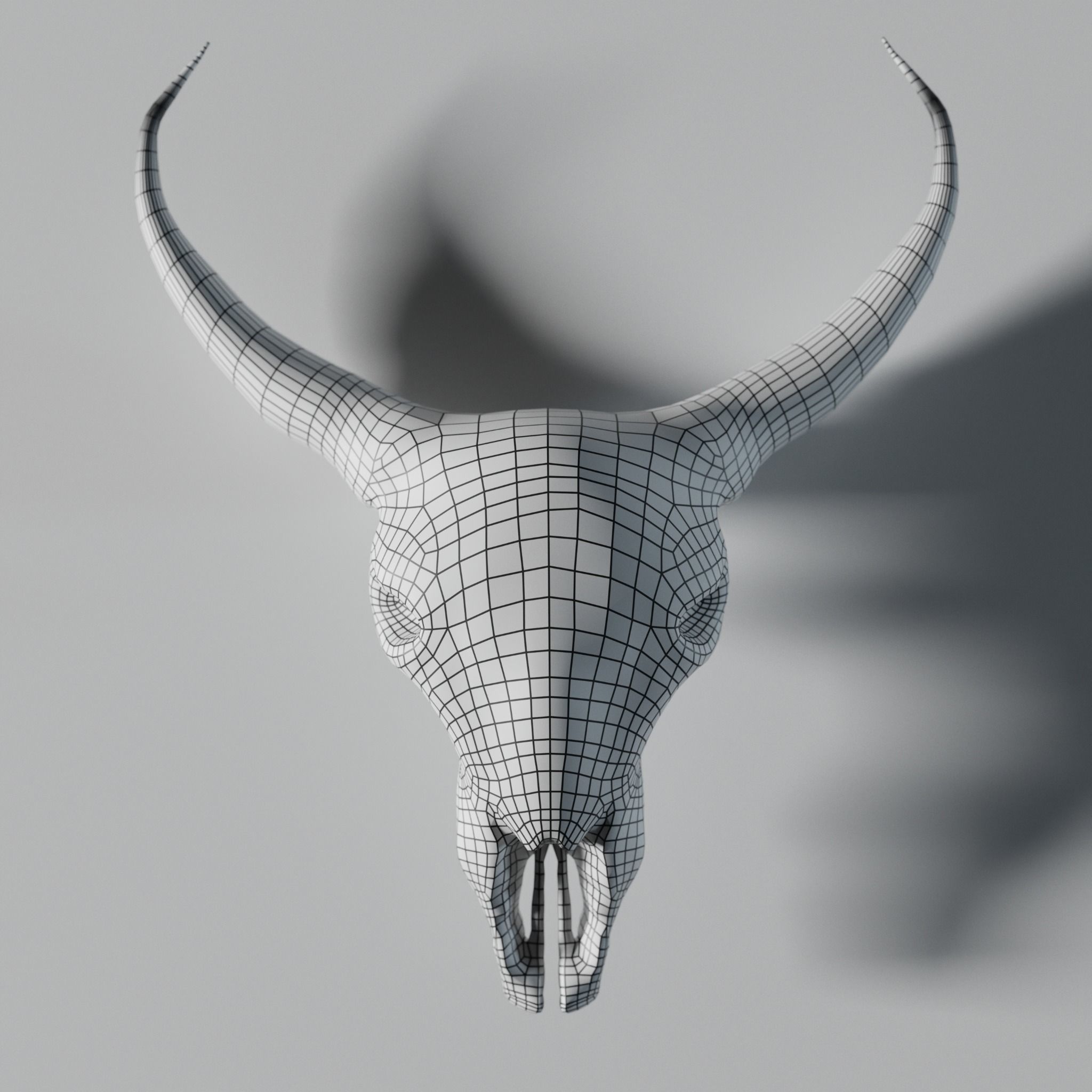 Cow Skull 3D model_4
