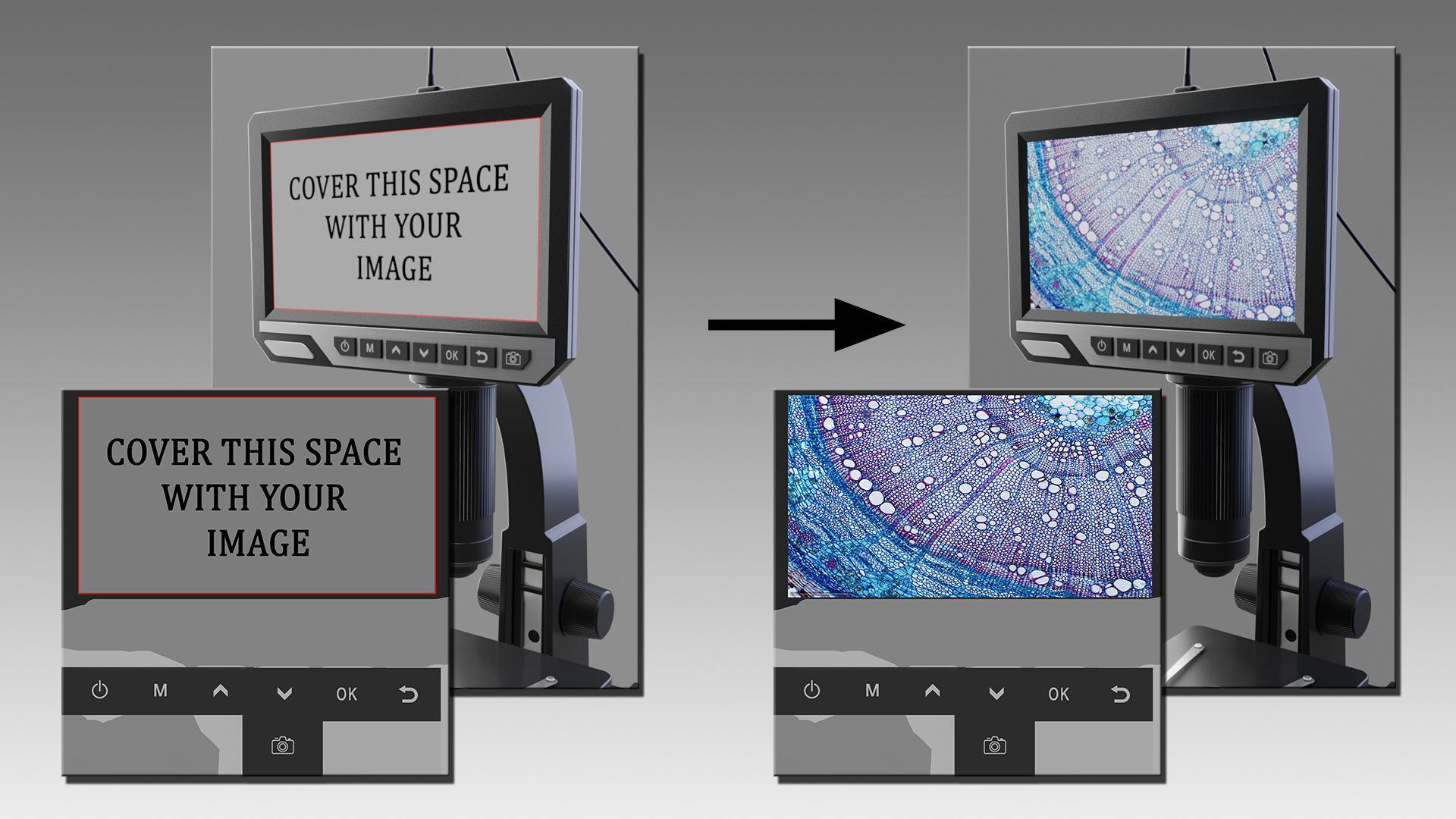 Digital Microscope 3D model_5