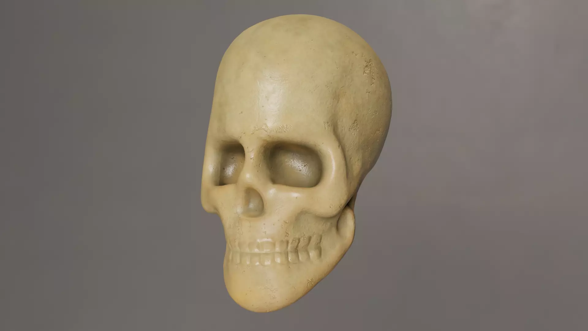 Human Skull 3D model