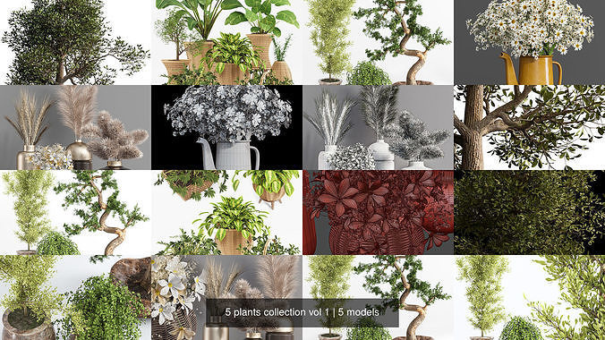 5 plants collection vol 1 