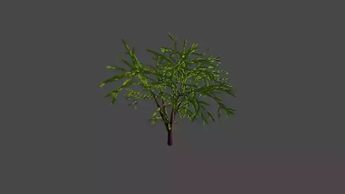 Small Tree