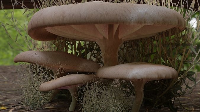 mushroom for environment art 3D model